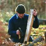 wood shaping